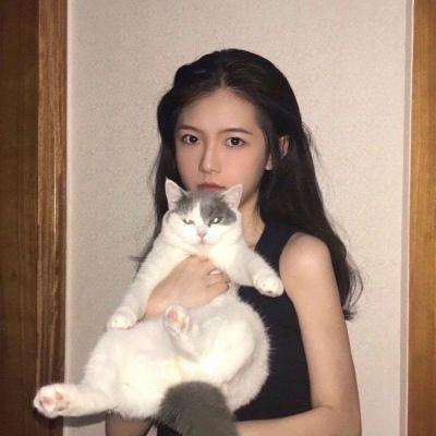 方块笨蛋手游下载
